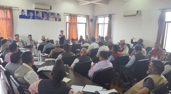शिथिल कांग्रेसलाई दौडाउन जिल्ला सभापतिहरुको माग